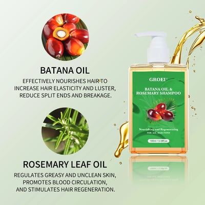 Shampooing intense GROEI avec huile de batana et romarin, bienfaits illustrés pour nourrir, régénérer et stimuler la croissance des cheveux.