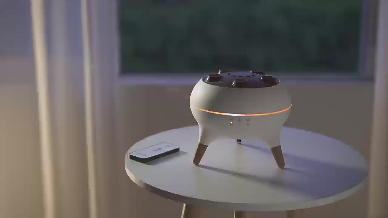 Charger la vidéo : 